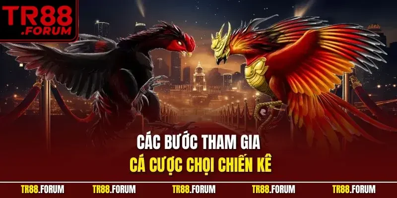 Các bước tham gia cá cược chọi chiến kê