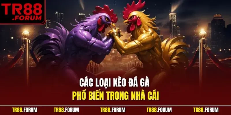 Các loại kèo đá gà phổ biến trong nhà cái