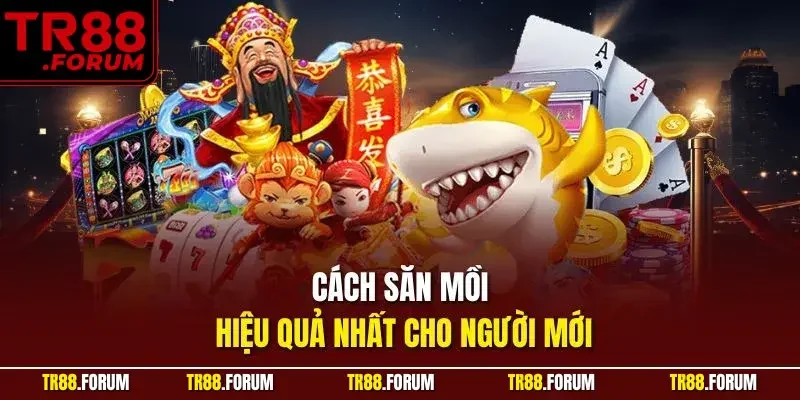 Cách săn mồi hiệu quả nhất cho người mới
