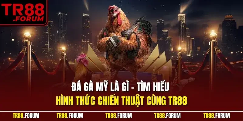 Đá gà mỹ là gì