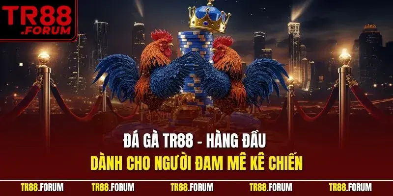 Đá gà TR88