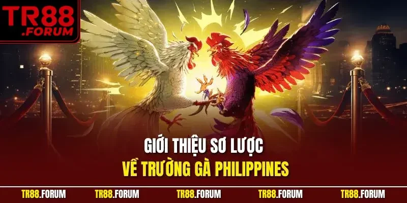 Giới thiệu sơ lược về trường gà Philippines