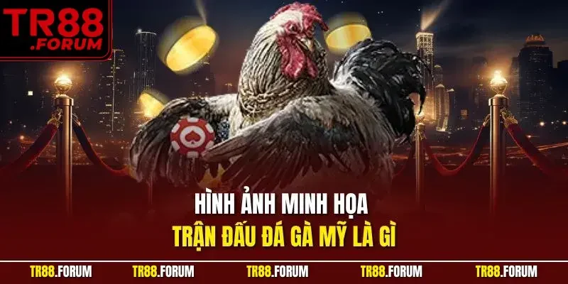 Hình ảnh minh họa trận đấu đá gà mỹ là gì