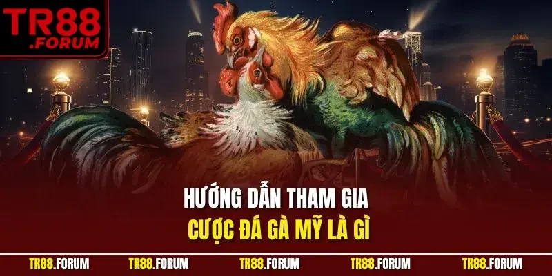 Hướng dẫn tham gia cược đá gà mỹ là gì