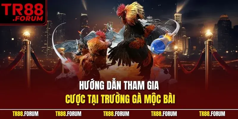 Hướng dẫn tham gia cược tại trường gà mộc bài