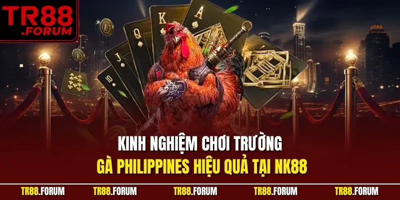 trường gà Philippines