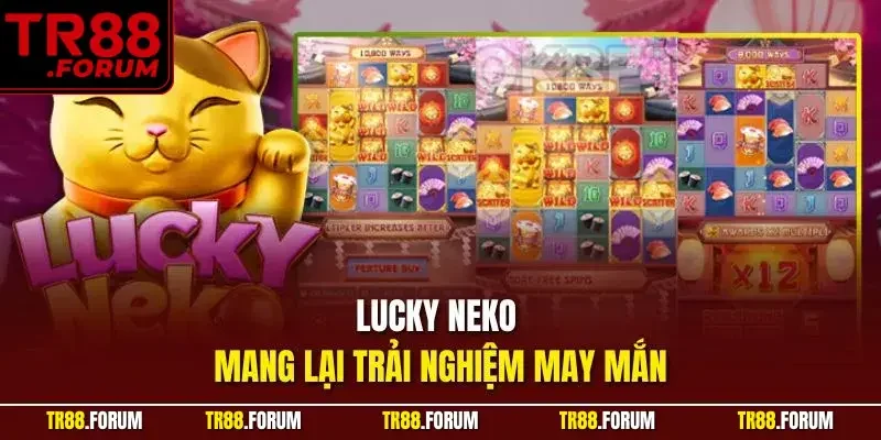 Lucky Neko mang lại trải nghiệm may mắn