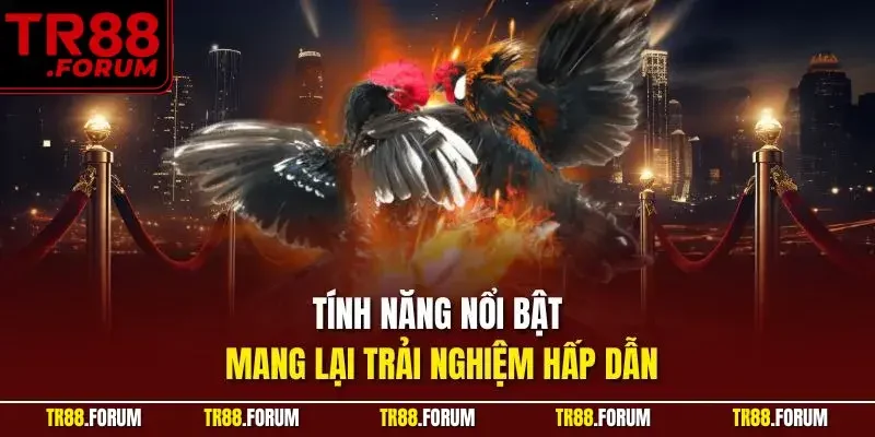 Tính năng nổi bật mang lại trải nghiệm hấp dẫn