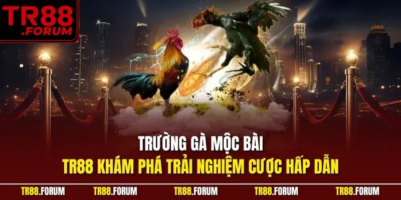 Trường gà mộc bài